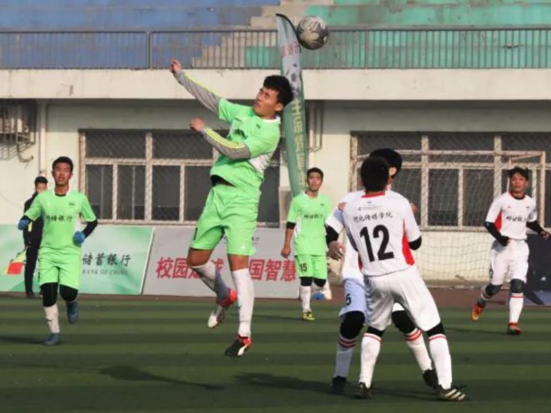 关于买球网